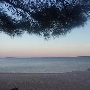 Appartamento Antica, Šimuni